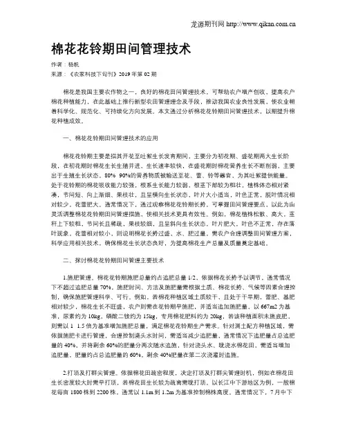 棉花花铃期田间管理技术