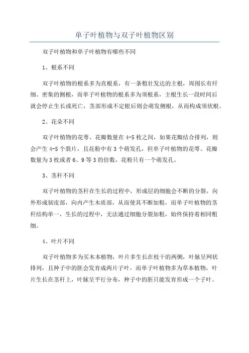 单子叶植物与双子叶植物区别