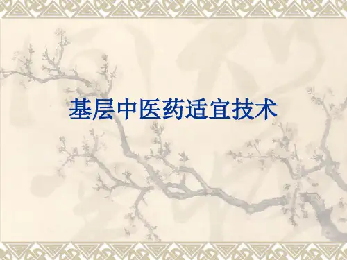 基层中医药适宜技术