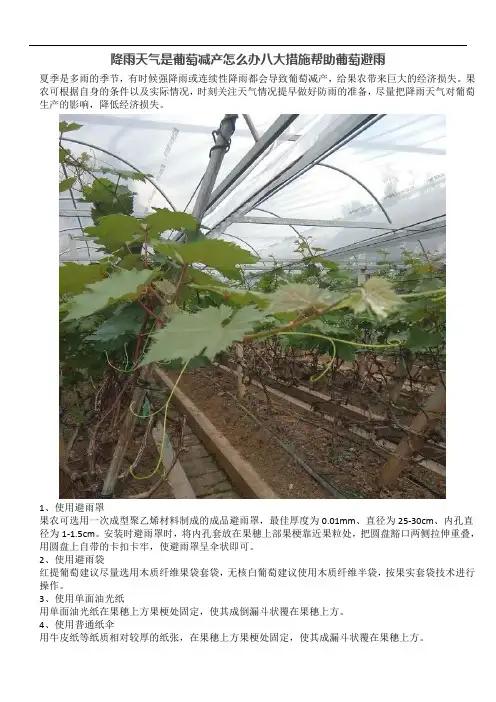 降雨天气是葡萄减产怎么办八大措施帮助葡萄避雨