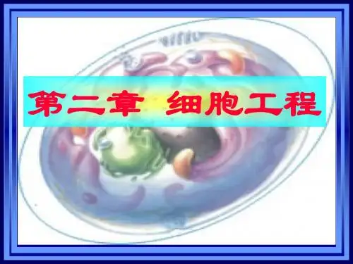 第二章  细胞工程第一节   细胞工程概述第二节   细胞工程基础知识