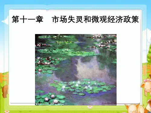 第十一章-市场失灵和微观经济政策