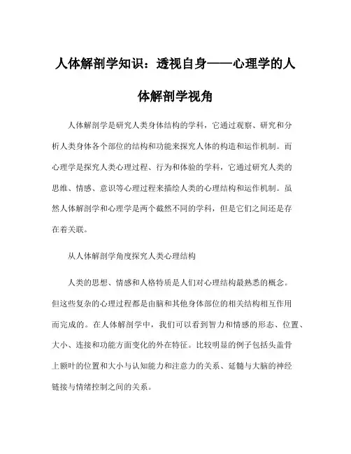 人体解剖学知识：透视自身——心理学的人体解剖学视角
