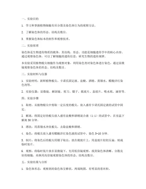 观察染色体实验报告