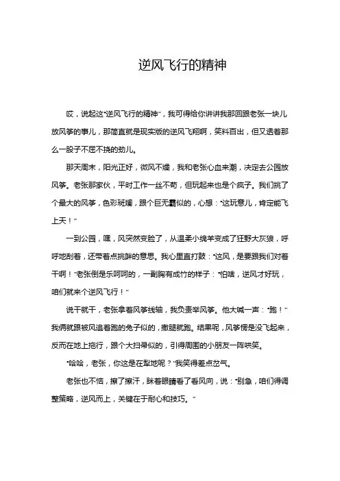 关于逆风飞行的作文