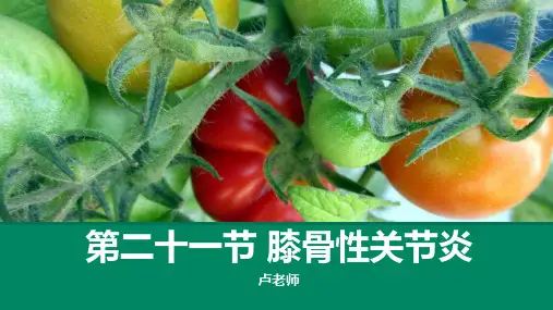 膝骨性关节炎(针灸治疗学)