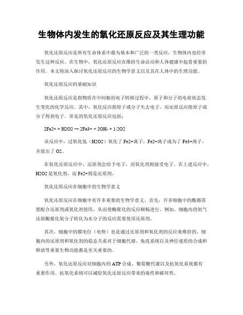 生物体内发生的氧化还原反应及其生理功能