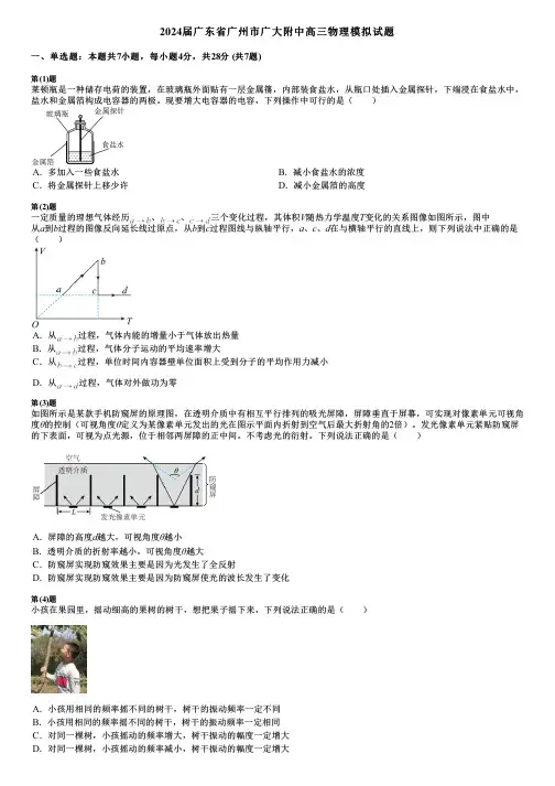 2024届广东省广州市广大附中高三物理模拟试题