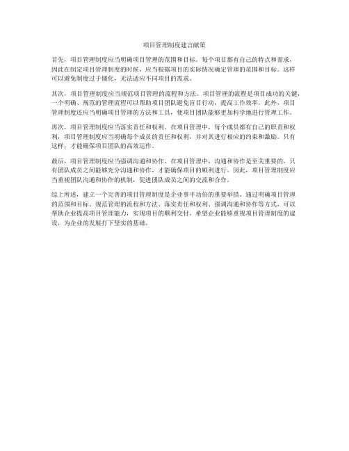 项目管理制度建言献策