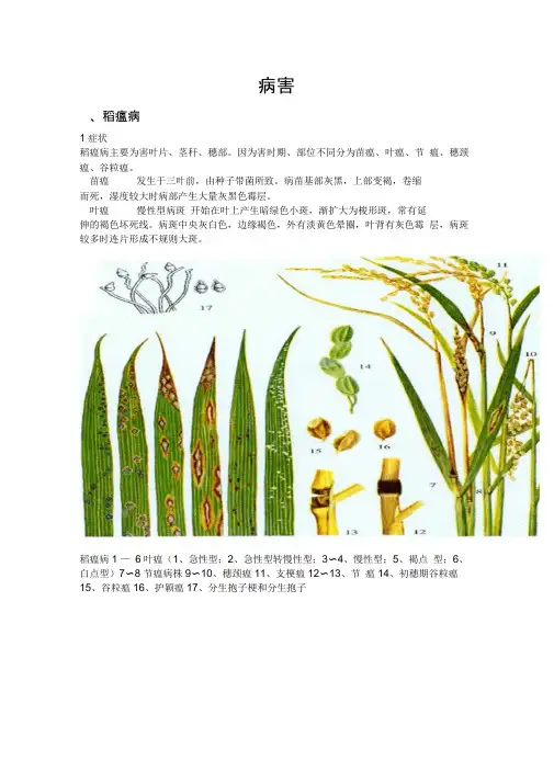水稻5种病虫害