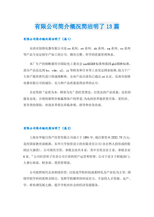 有限公司简介概况简洁明了13篇