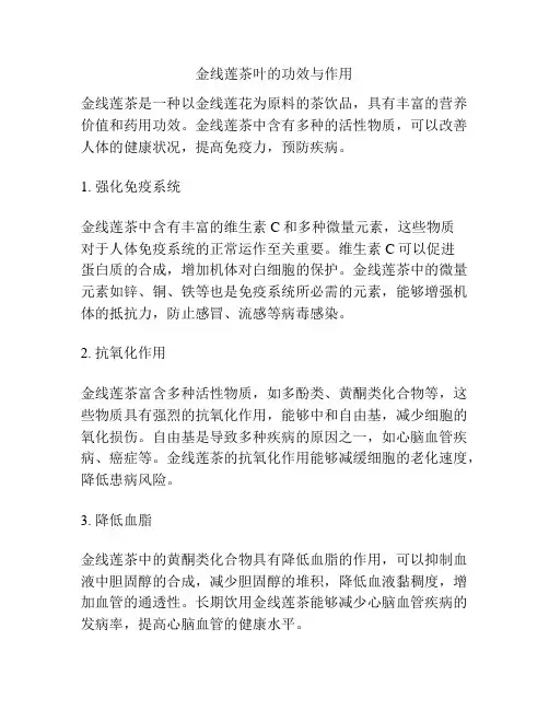 金线莲茶叶的功效与作用