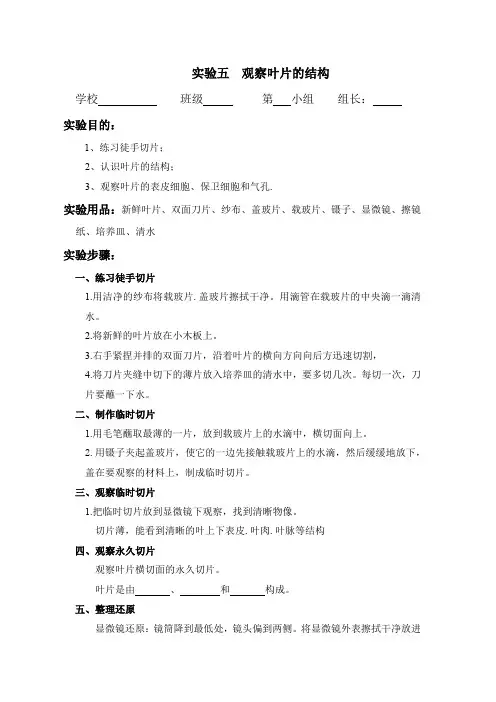 新人教版七年级生物实验报告单-观察叶片的结构