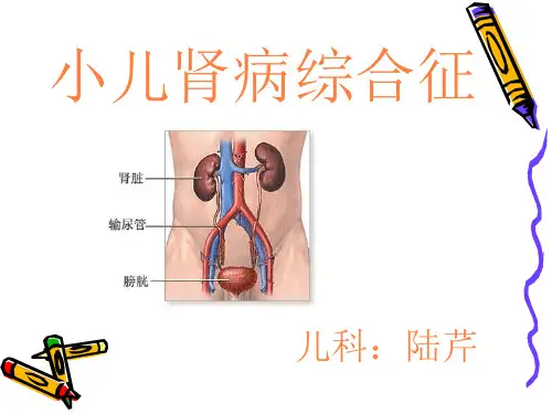 小儿肾病综合征PPT课件