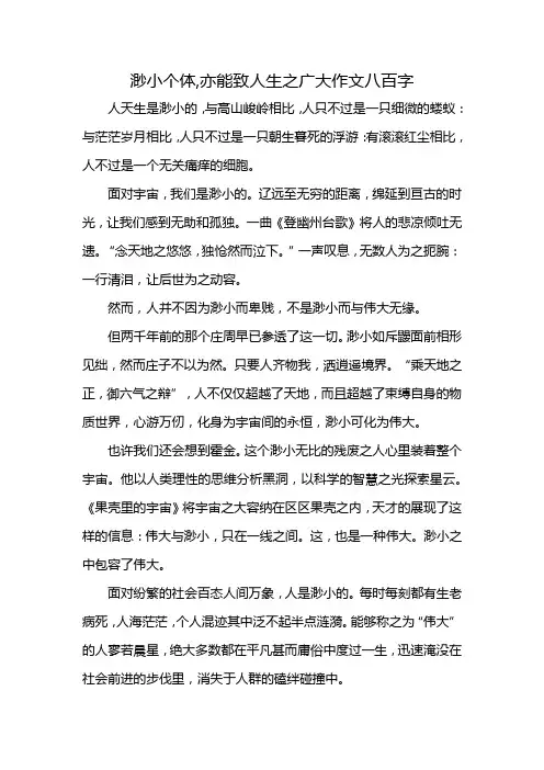 渺小个体,亦能致人生之广大作文八百字