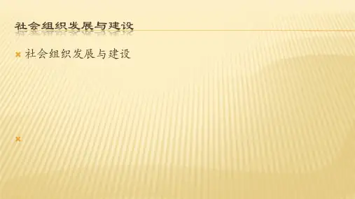 社会组织发展与建设