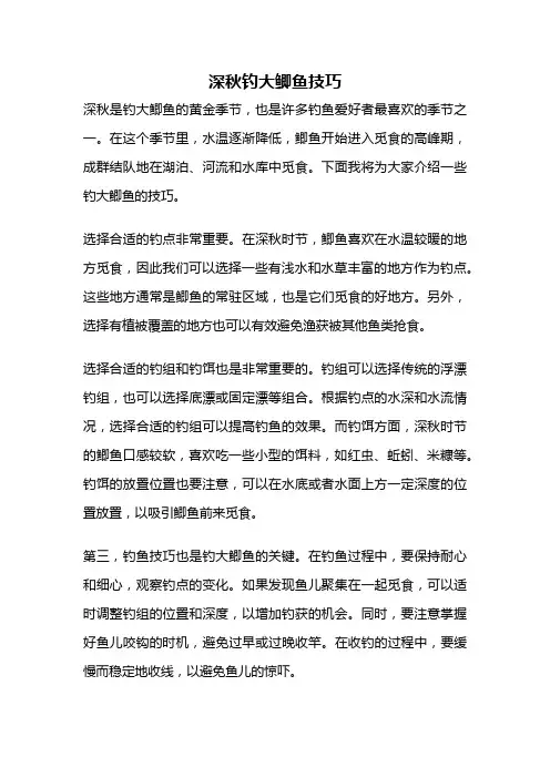 深秋钓大鲫鱼技巧