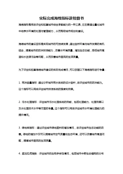 实际完成海绵指标及验算书