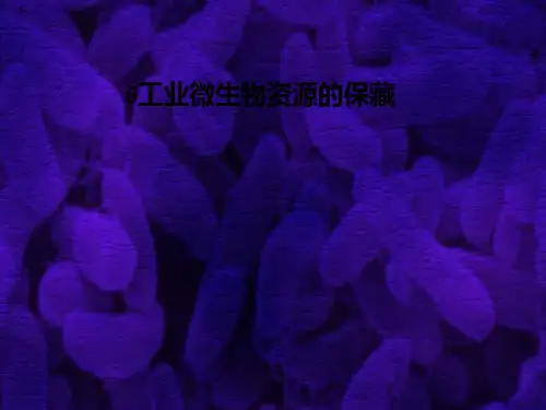 6工业微生物资源的保藏-PPT课件