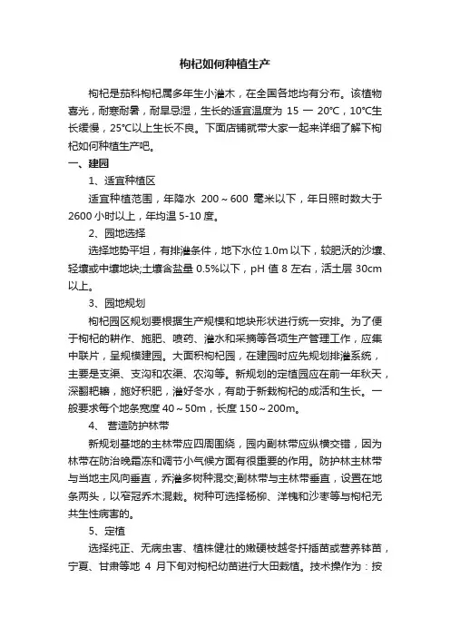 枸杞如何种植生产