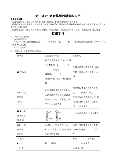 光合作用与能量转化(第二课时)(解析版)