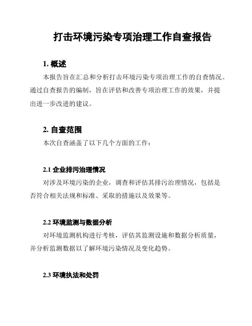 打击环境污染专项治理工作自查报告
