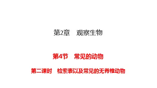 2023-2024学年七年级上册科学(浙教版)配套课件 第二章242检索表以及常见的无脊椎动物