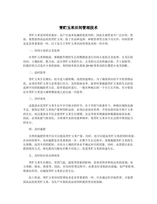 青贮玉米田间管理技术