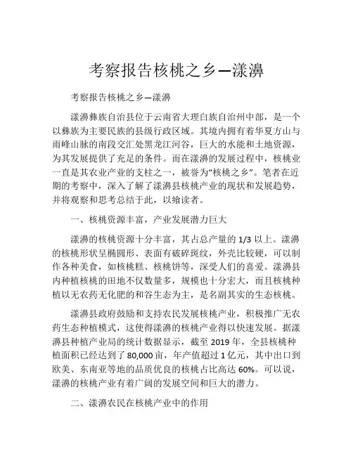 考察报告核桃之乡—漾濞