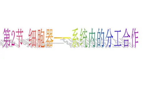 生物：3.2《细胞器——系统内的分工合作》课件(新人教版必修1)