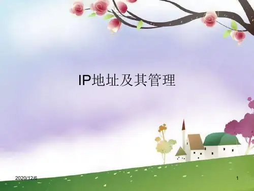 《IP地址及其管理》-教科版选修3精品PPT教学课件
