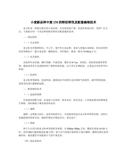 小麦新品种中麦170的特征特性及配套栽培技术