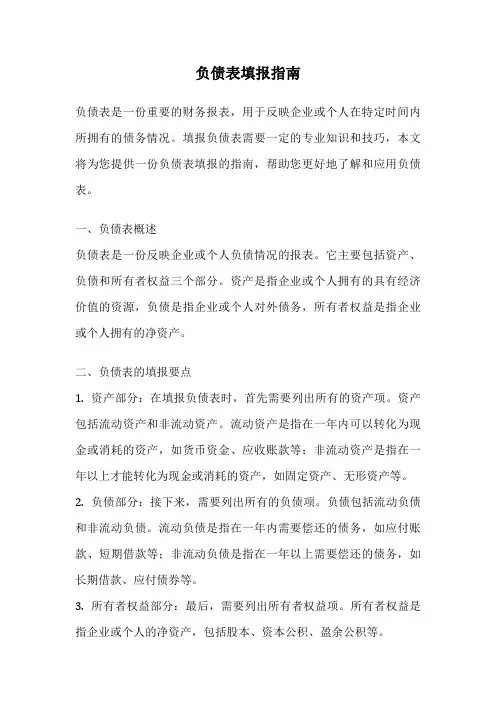 负债表填报指南