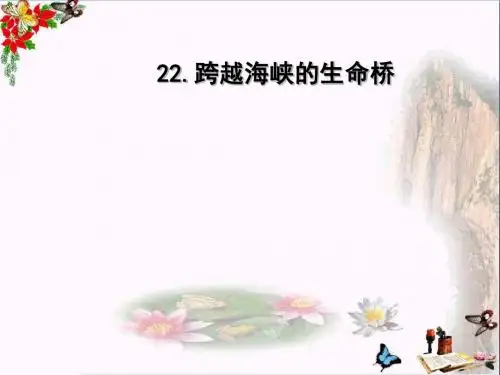 四年级语文上册 第6单元 22.跨越海峡的生命桥课件1 新人教版