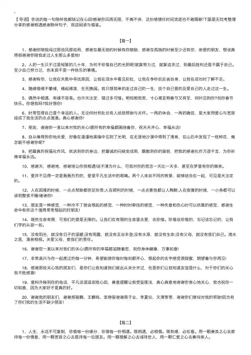 感谢相遇感谢陪伴句子【三篇】