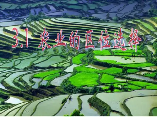 鲁教版高中地理必修二第三单元第1节《农业生产与地理环境》优质课件共49张PPT)