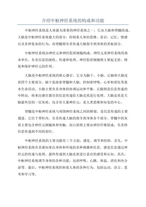 介绍中枢神经系统的构成和功能