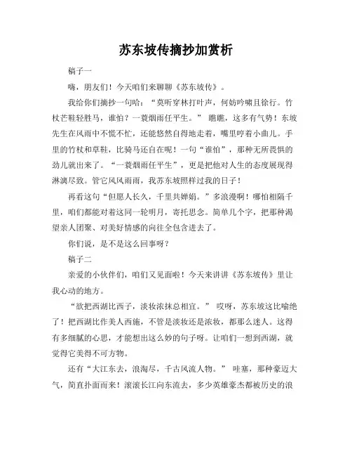 苏东坡传摘抄加赏析