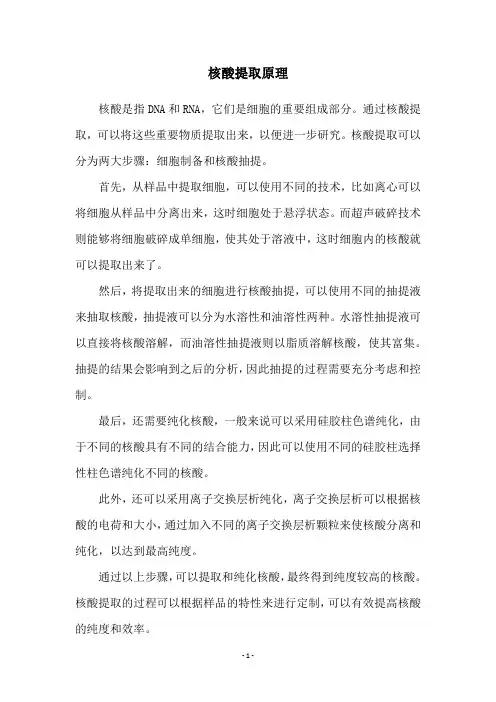 核酸提取原理