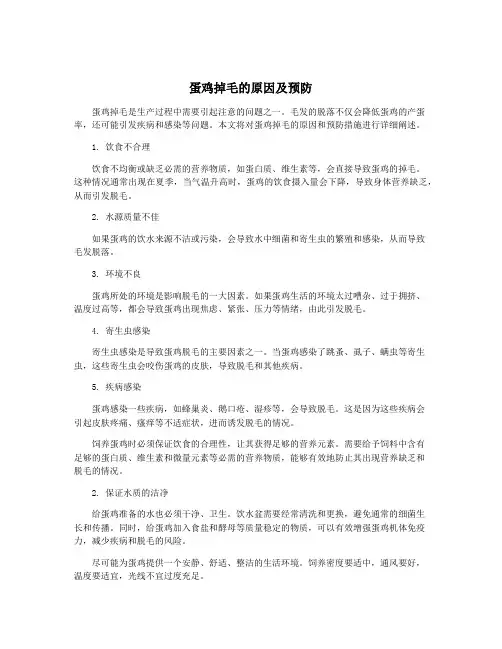 蛋鸡掉毛的原因及预防