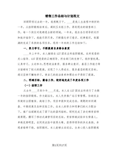 销售工作总结与计划范文(6篇)