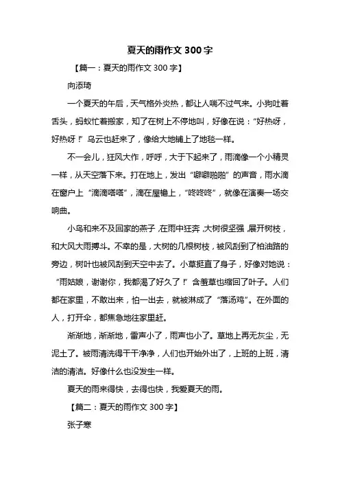 三年级作文：夏天的雨作文300字_6