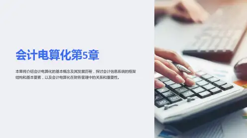 会计电算化第5章