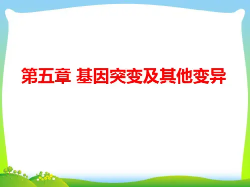 基因突变、基因重组和染色体变异