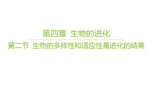 苏教版高中生物学必修2精品课件 第四章 生物的进化 第二节 生物的多样性和适应性是进化的结果 (2)