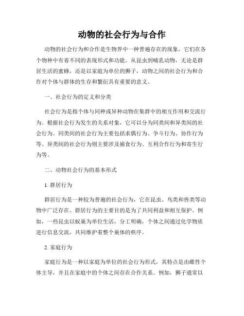 动物的社会行为与合作