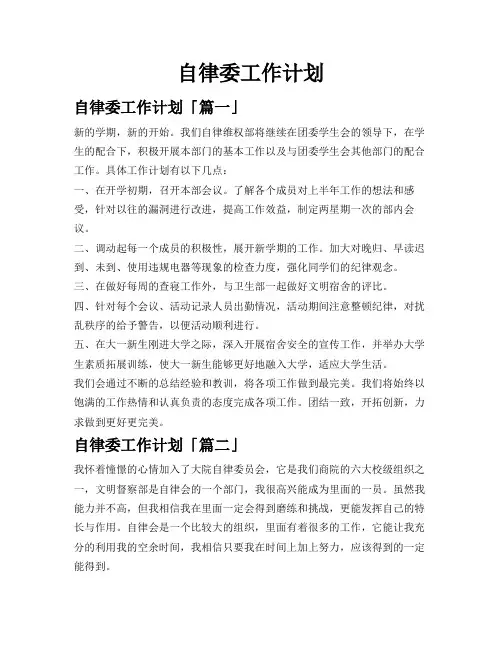 自律委工作计划