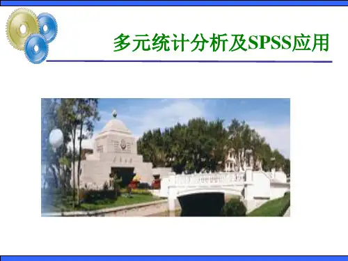 多元统计分析及spss应用