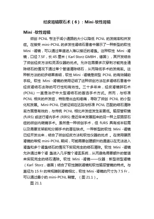 经皮肾镜取石术（6）：Mini-?软性肾镜