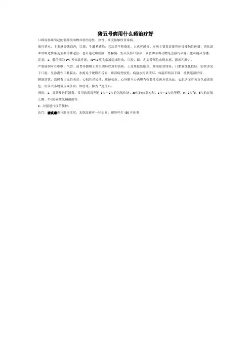 猪五号病用什么药治疗好